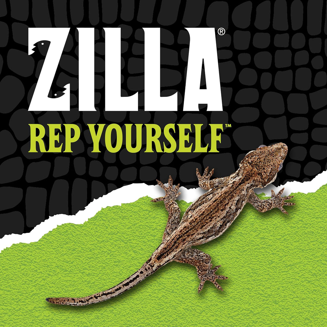 Zilla QuickBuild Reptile 65 Gallon Glass Terrarium, 48" x 18" x 18"