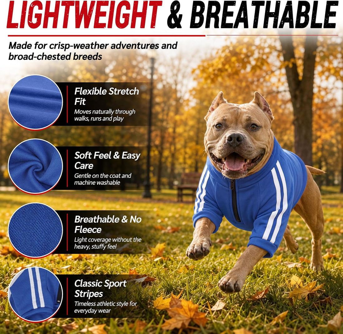 PUMYPOREITY Bulldog Sweatshirt for Broad-Chested Dogs, Blue, L
