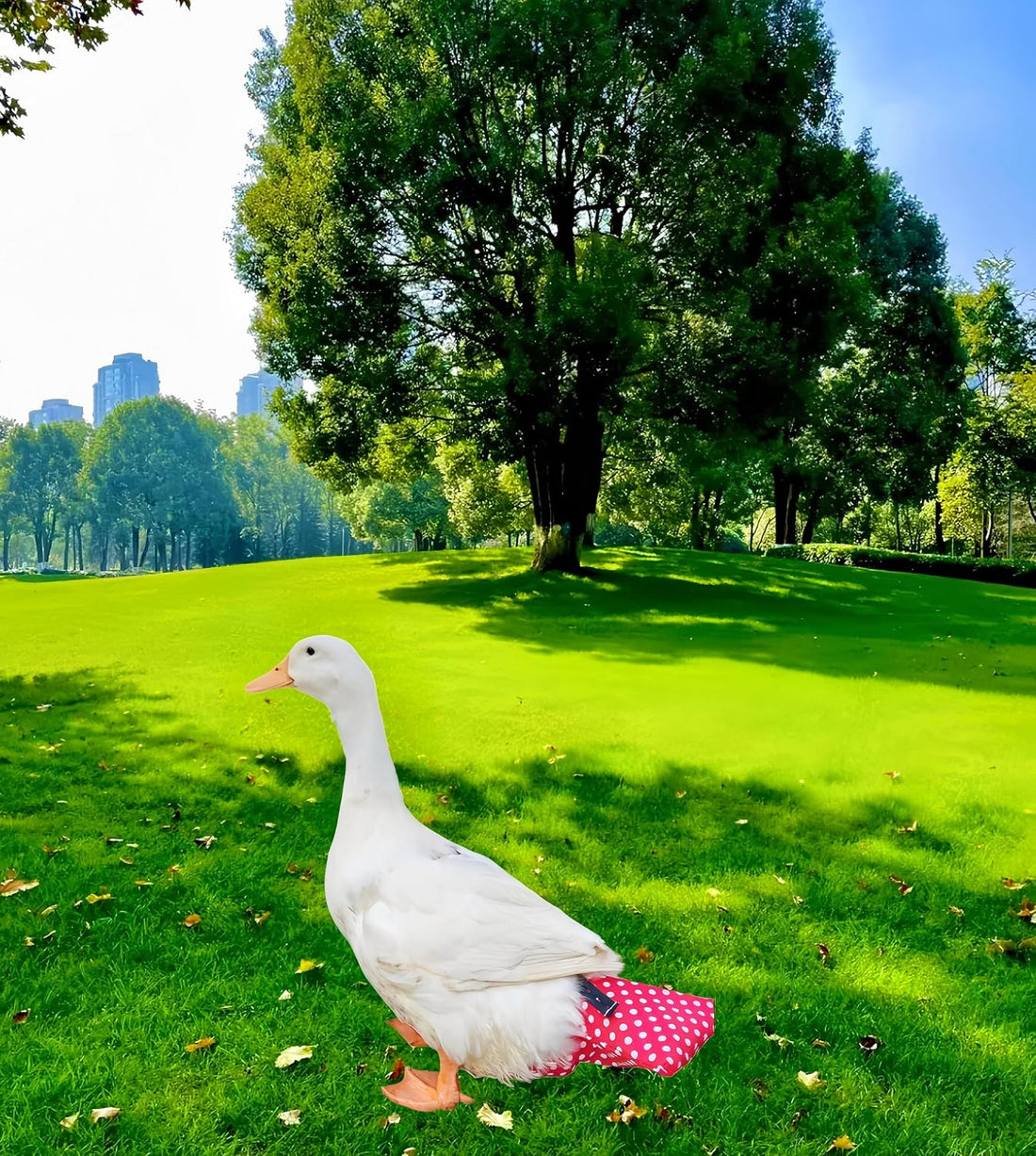 2 Pack Chicken Diapers for Hens, Roosters, Diapers for Ducks