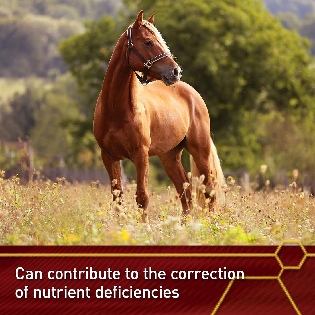 Vita Flex Pro E & Selenium Supplement for Horses, 64-Day Supply