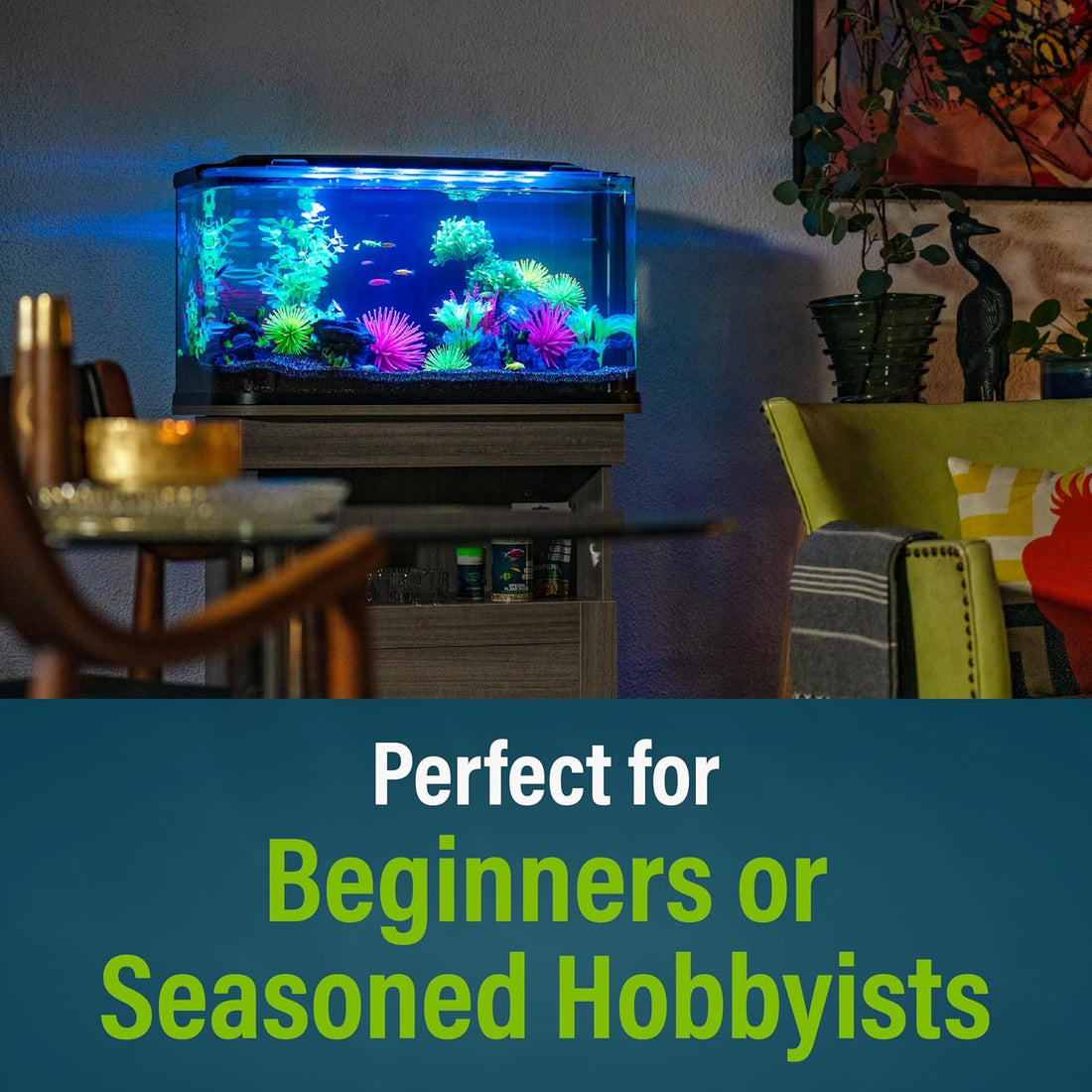GloFish 20 Gallon Premium Fish Tank Kit