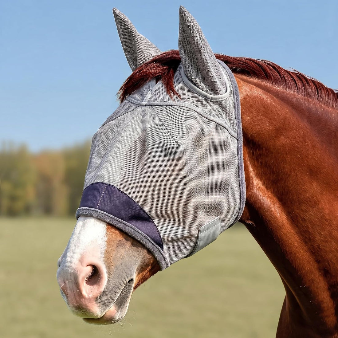 Horse Fly Mask with Ears - UV Protection Fine Mesh Super Comfort Fly