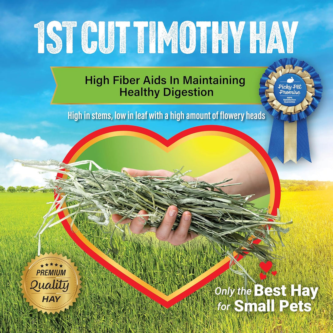 Small Pet Select 1st Cutting Timothy Hay for Rabbits & Guinea Pigs