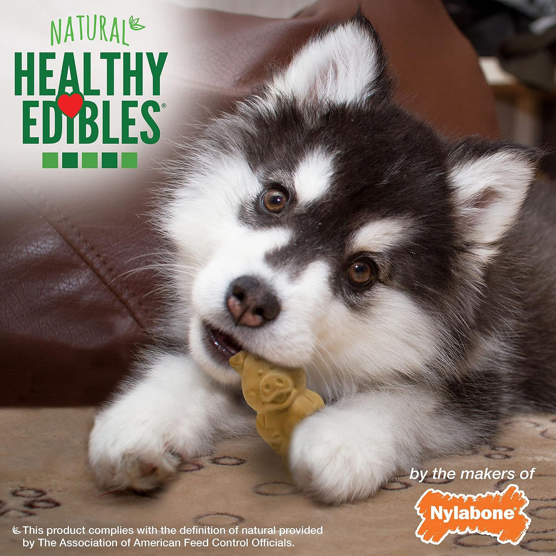Nylabone Healthy Edibles Natural Puppy Chews Long Lasting Treats