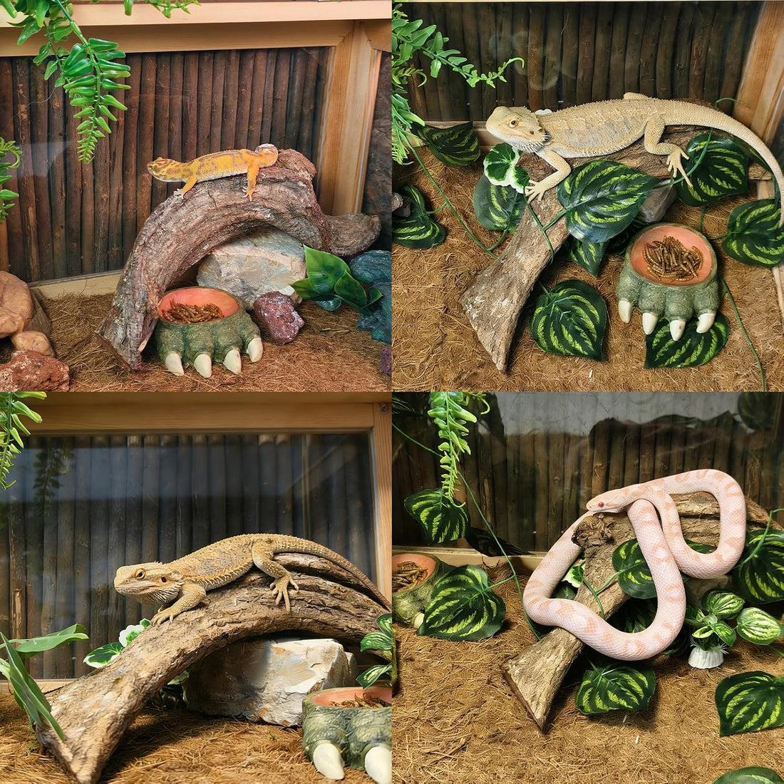 Tfwadmx Reptile Branches, Natural Reptile Corner Climbing Branch