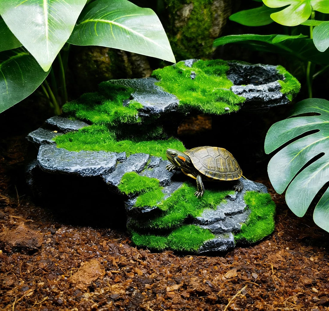 M2cbridge Reptile Hide Resting Step Ledge Cave Hideout Turtle Basking