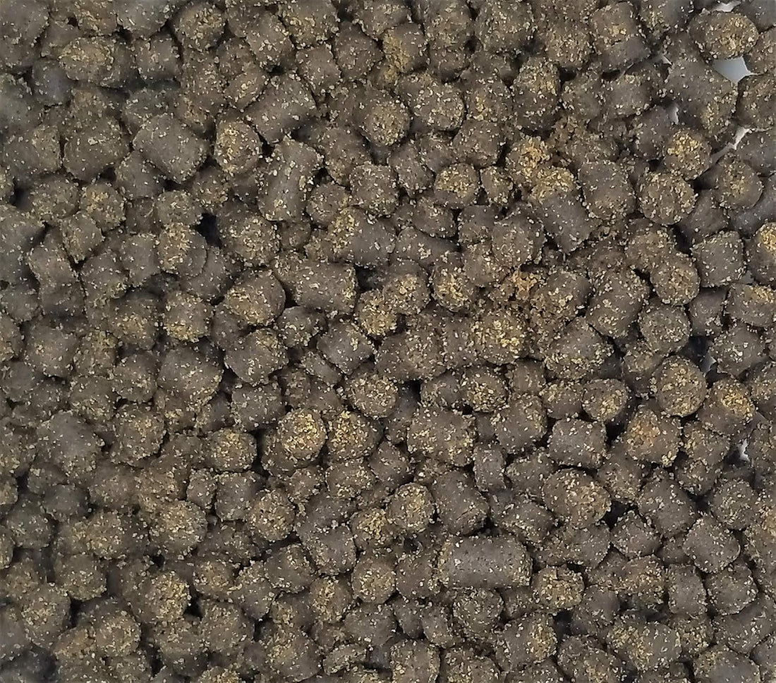 Invert Aquatics Frog Bites - Moist Pellet Sinking Diet for Frogs