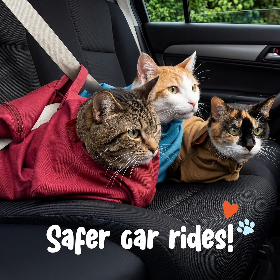 Cat-in-the-Bag Cozy Comfort Carrier