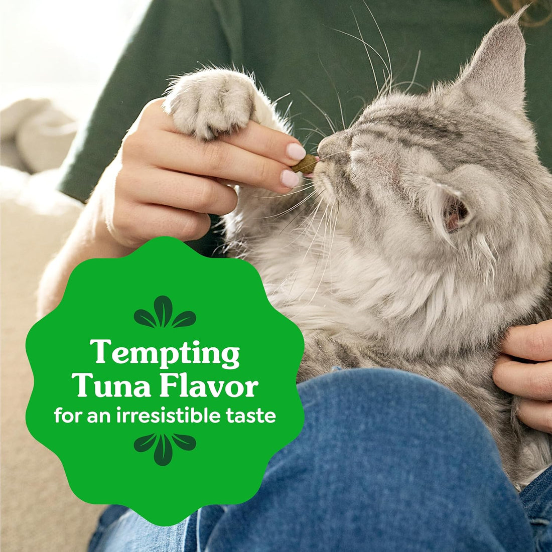Greenies Cat Treats, Veterinarian-Recommended Adult Natural Dental