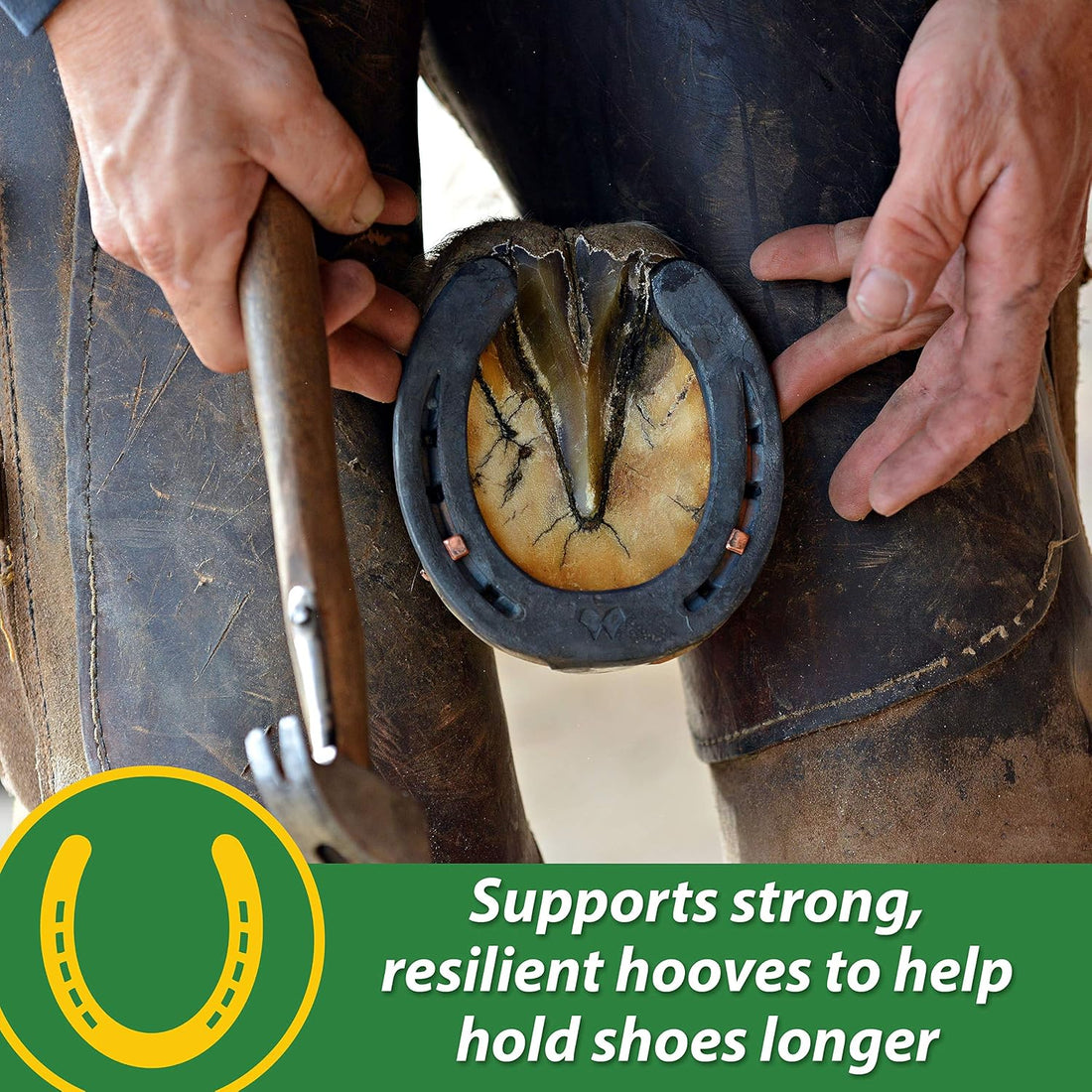 Farnam HB 15 Hoof Supplement, Supports Healthy hoof Growth