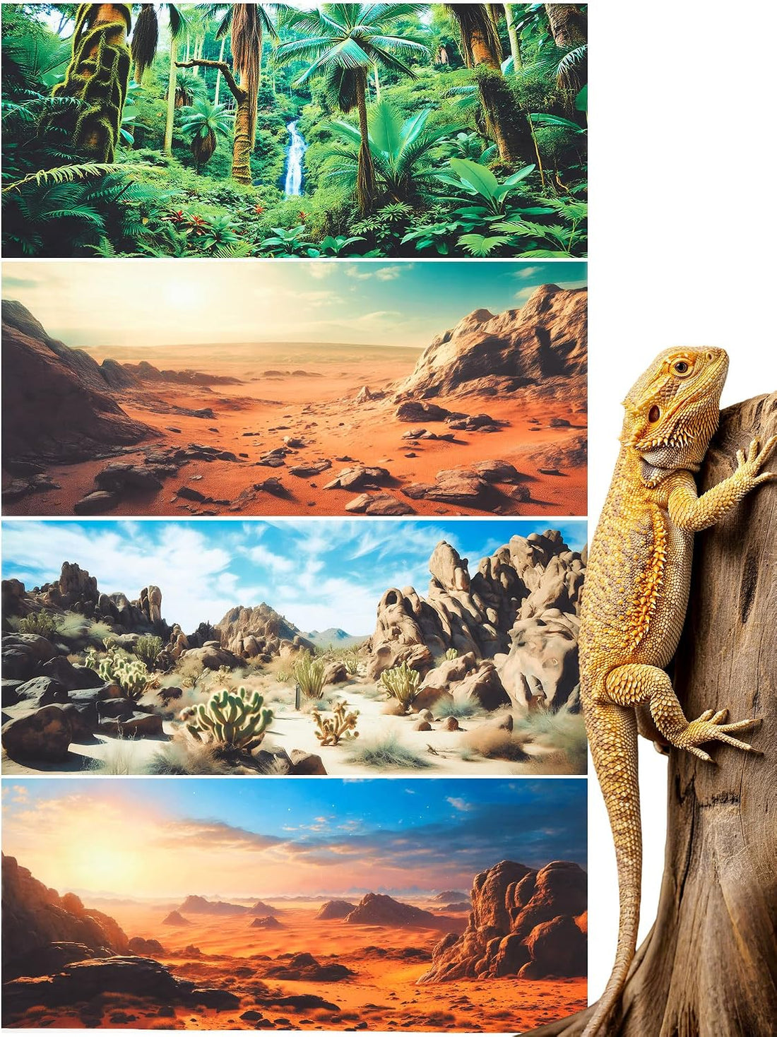 Breling 36 x 18 Inch 4 Pcs Reptile Tank Background,Habitat Scenes