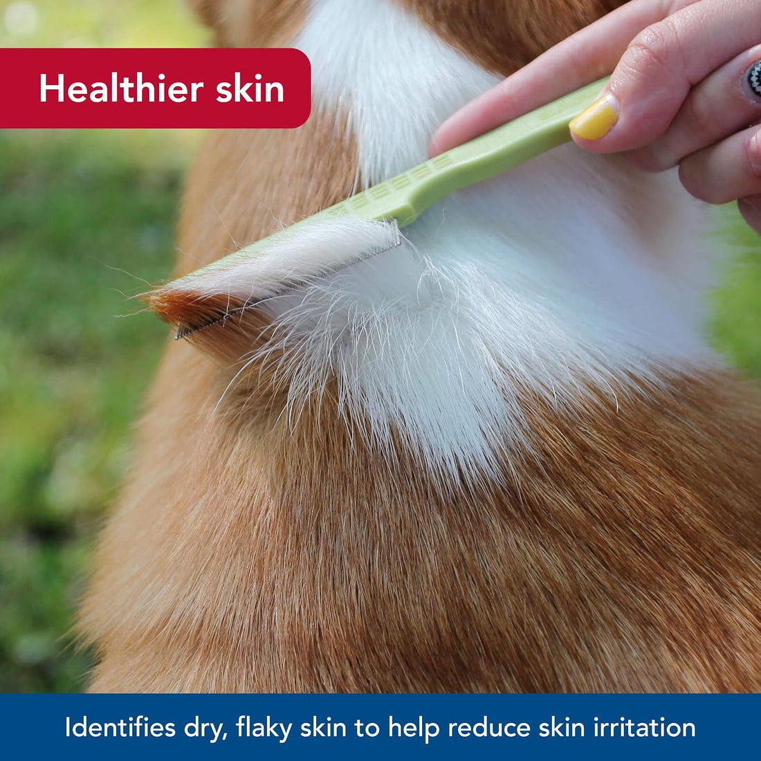 Coastal Pet Safari Double Row Comb - Helps Dry Skin