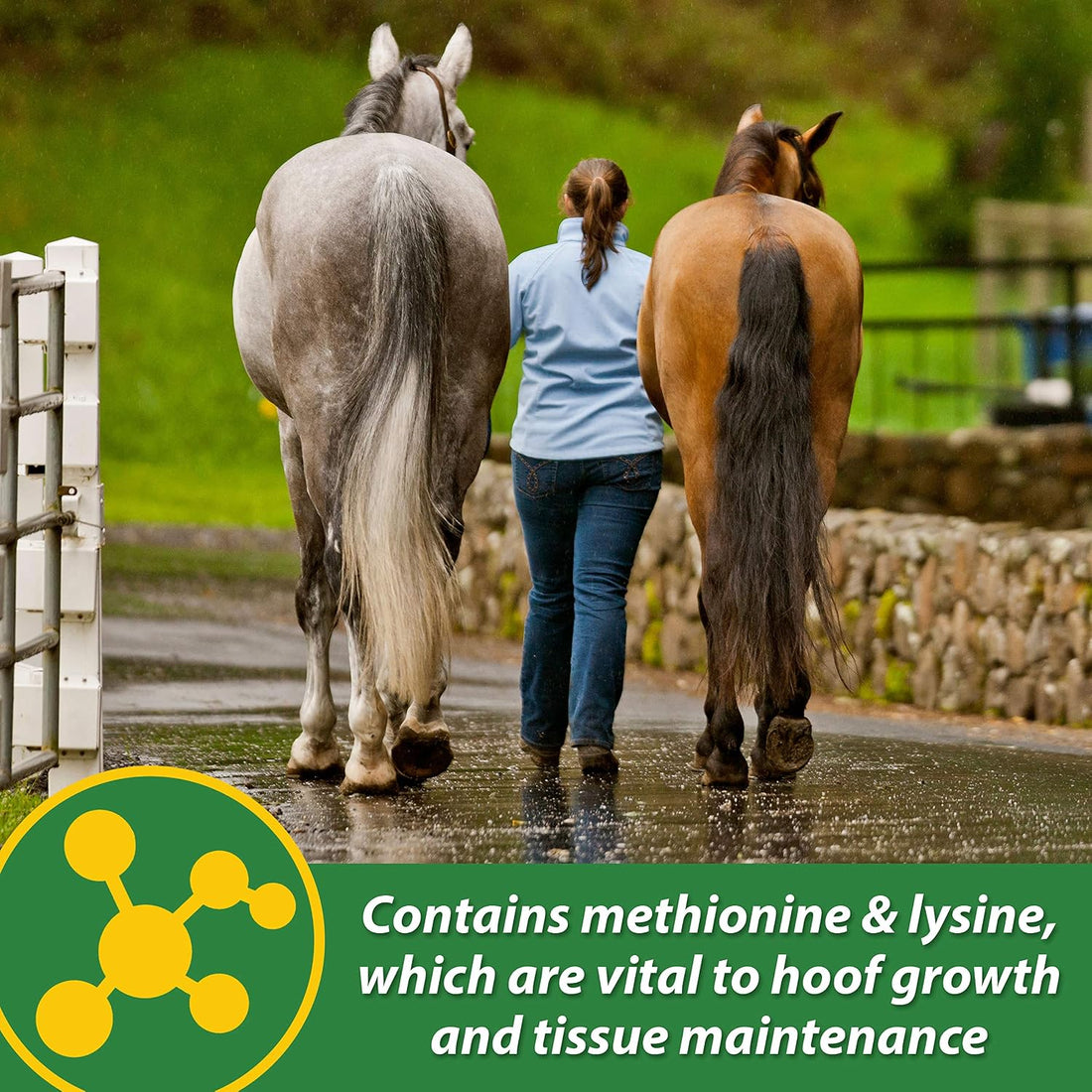 Farnam HB 15 Hoof Supplement, Supports Healthy hoof Growth