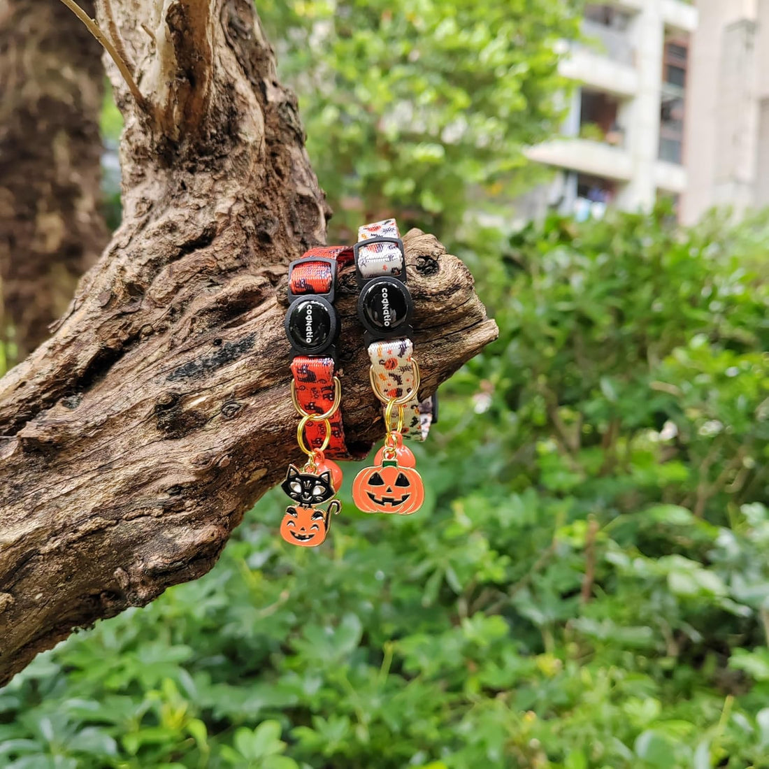 2 Pack Breakaway cat Collars with Bell,Safety Quick Release Pendant