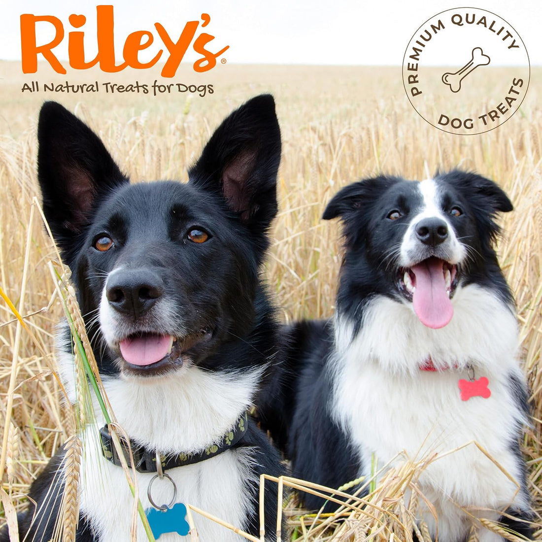Riley's 12" Beef Collagen Sticks for Dogs - 100% Natural Beef - 5ct