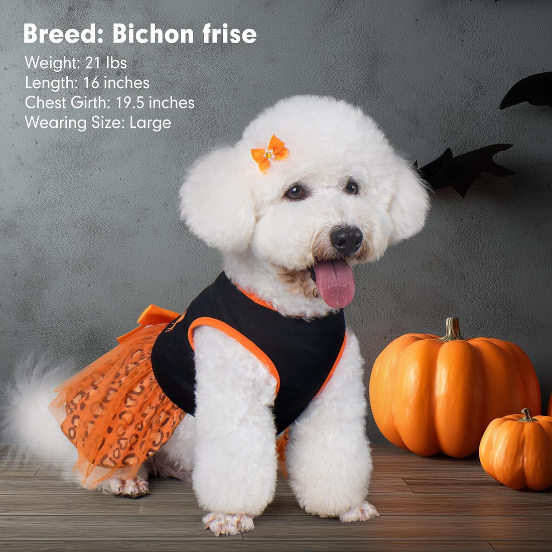 cyeollo Dog Halloween Dress, Pumpkin Print Tulle Outfit with Hair Bow