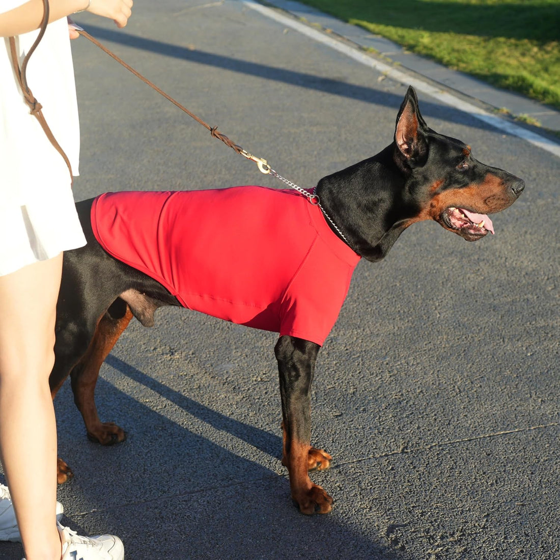 Premium Yoga-Fabric Dog T-Shirt – Breathable, Stretchy