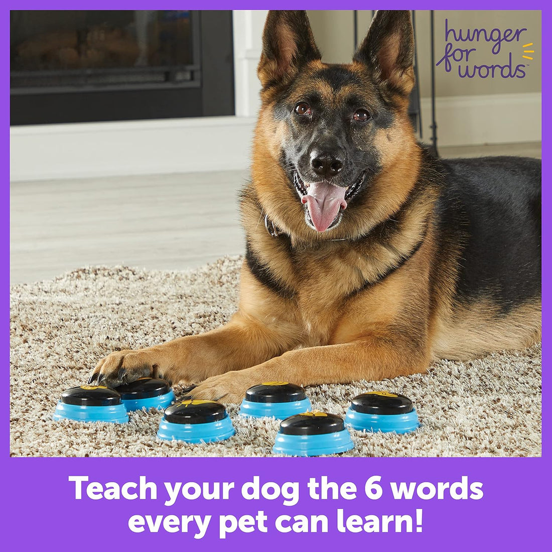 Hunger For Words Talking Pet Essential Words