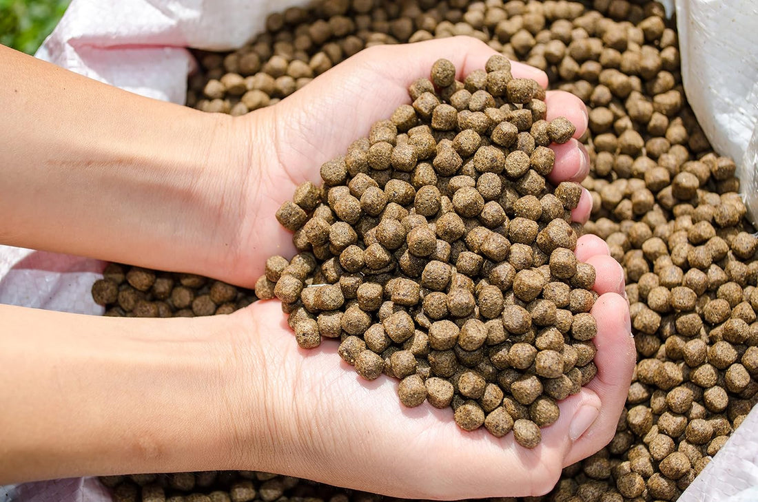 Premium Floating Fish Food | Pond and Lake | Pellets | 2 Pounds