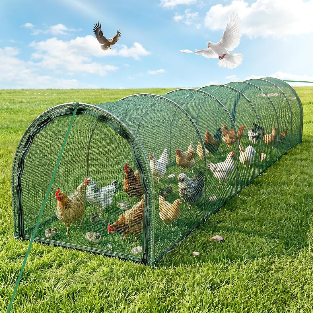 Foldable Chicken Run No Assembly Portable Tunnel for Yard 79 * 30 *