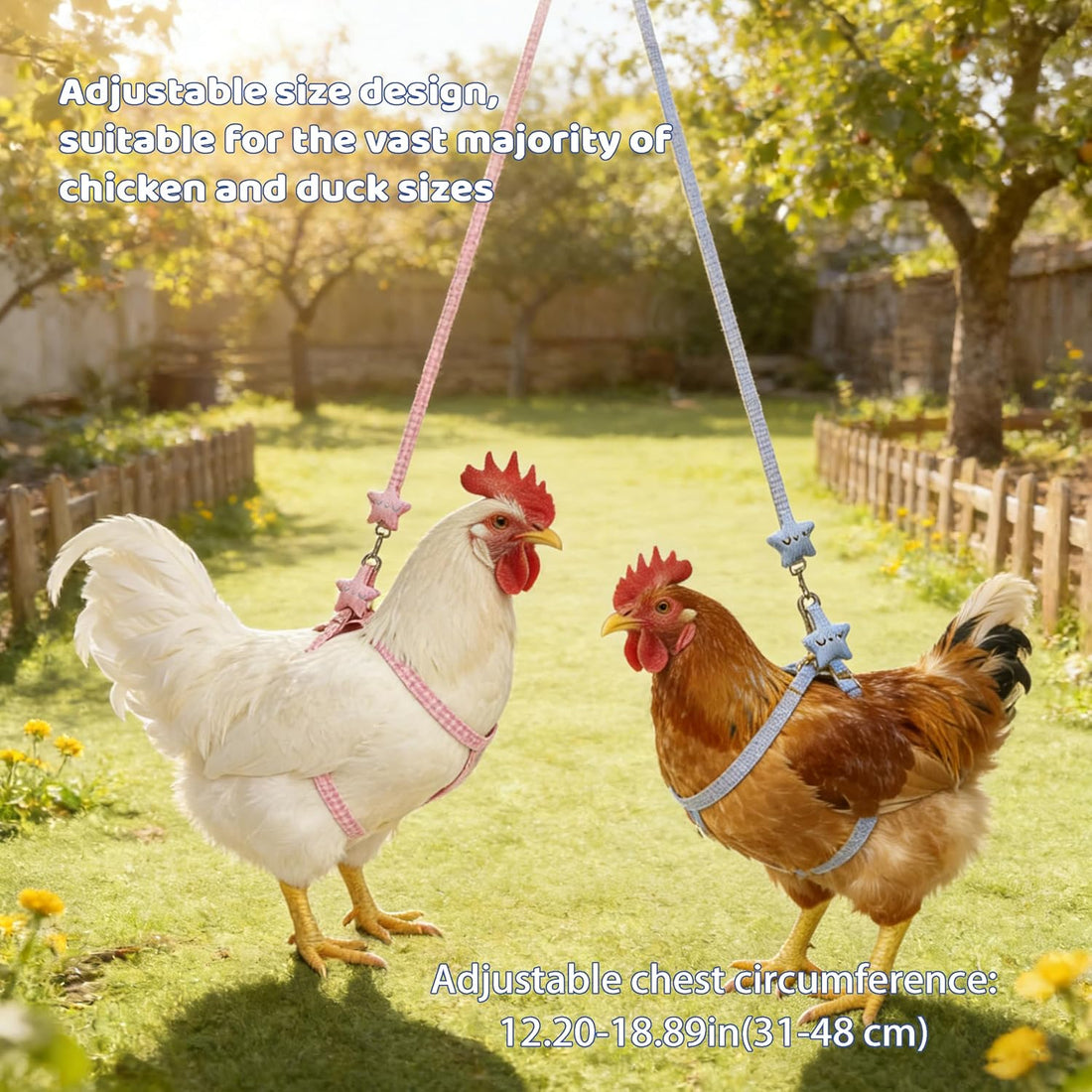 2Pcs Adjustable Chicken Harness and Leash Set, Duck Harness, Blue