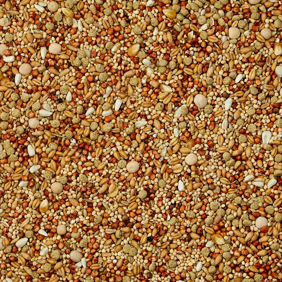 Kaytee Supreme Dove Food, Dove Bird Seed, 5 Pounds