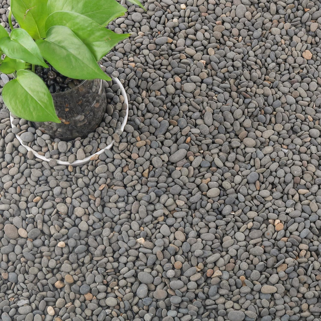 Black Rock, CJGQ 18lb River Rocks Pebbles for Plants Succulents