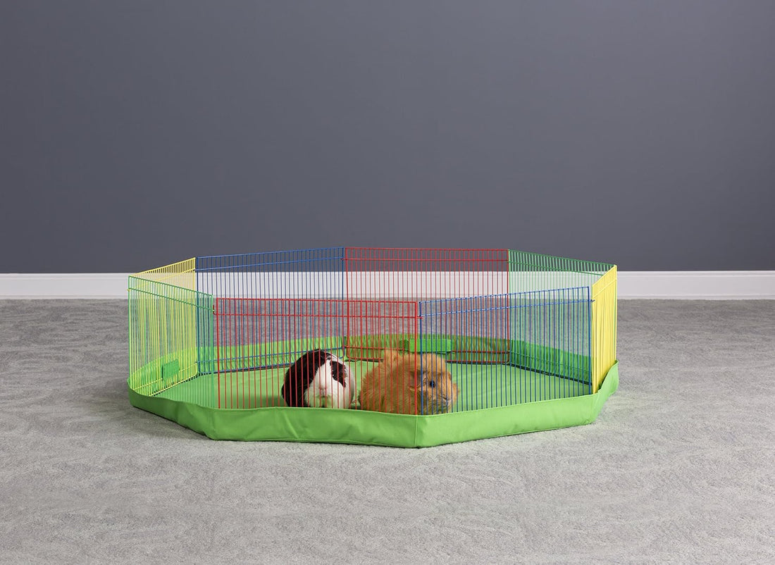 Prevue Pet Products Playpen Cover, Protects Floors & Carpets - Green