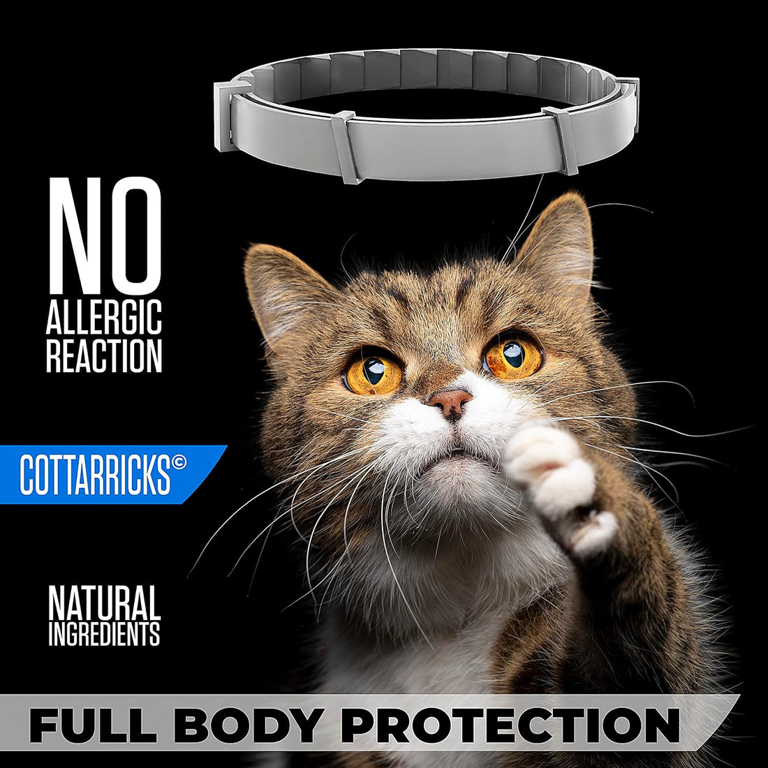 Flea and Tick Prevention for Cats - Collar - 2 Count - Adjustable