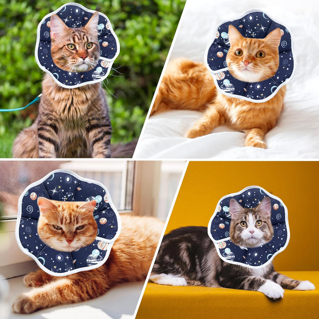 Maiiu Soft Adjustable Cat Cone Collar