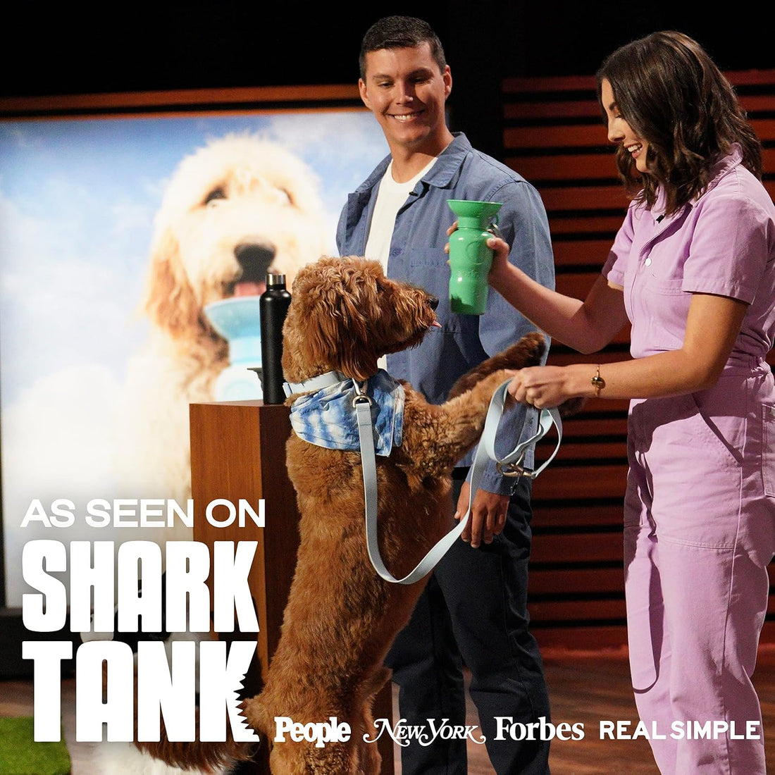 Springer Dog Water Bottle | Portable Travel Drinking Feeder Dispenser