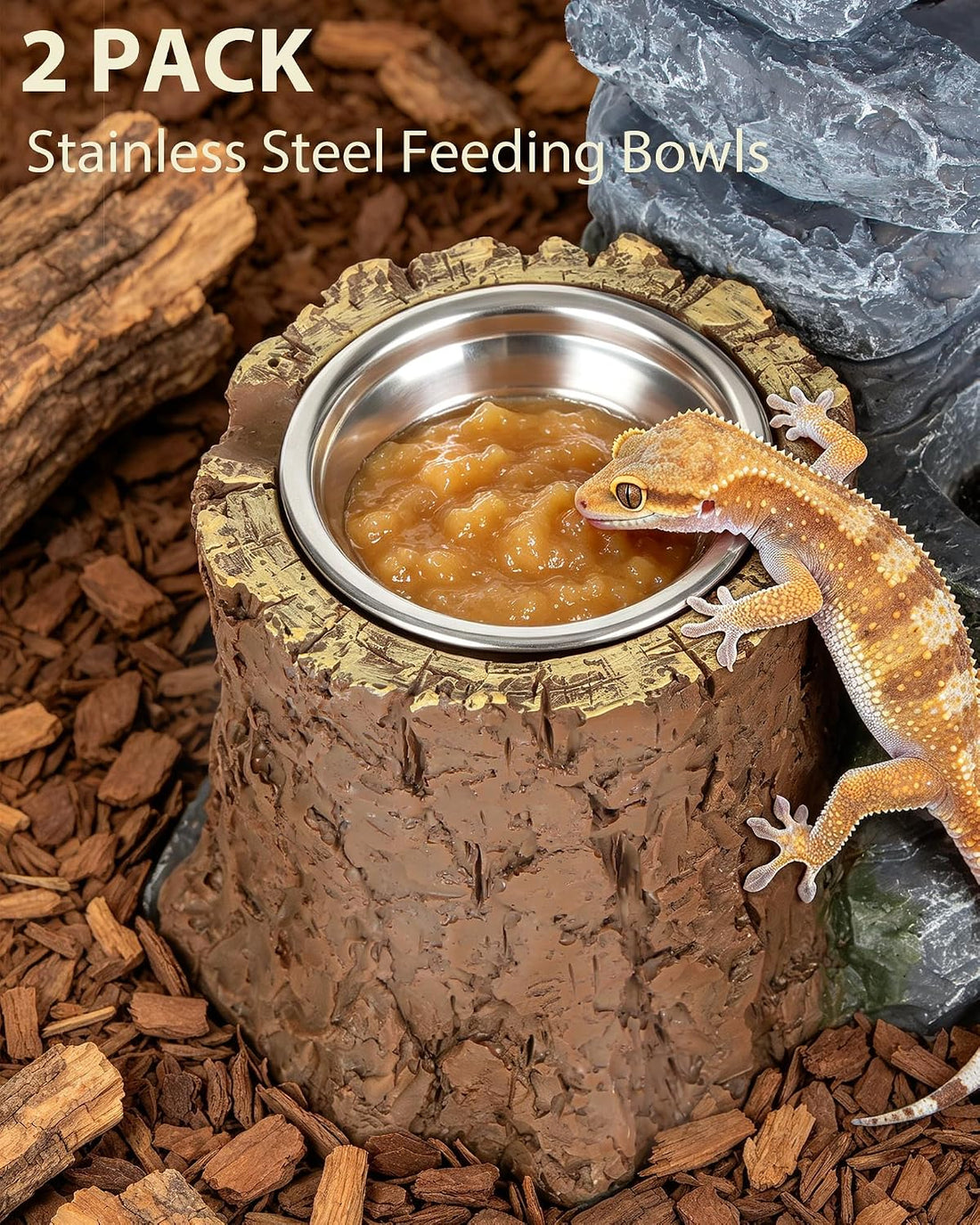 Bearded Dragon Water Fountain with 2 Stainless Steel Feeding Bowls