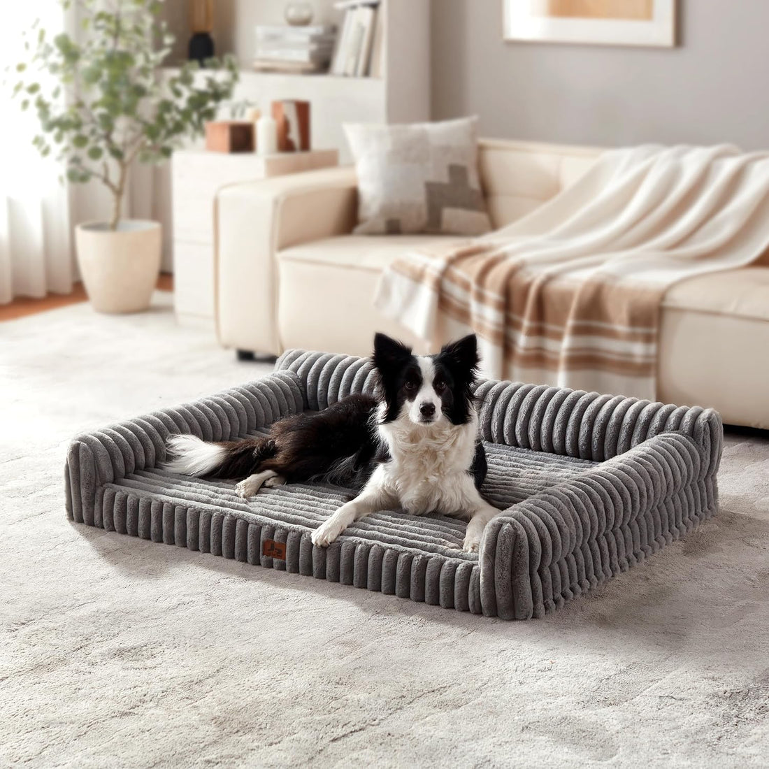 Orthopedic Dog Bed Large 35x25x9.5” Washable Cover