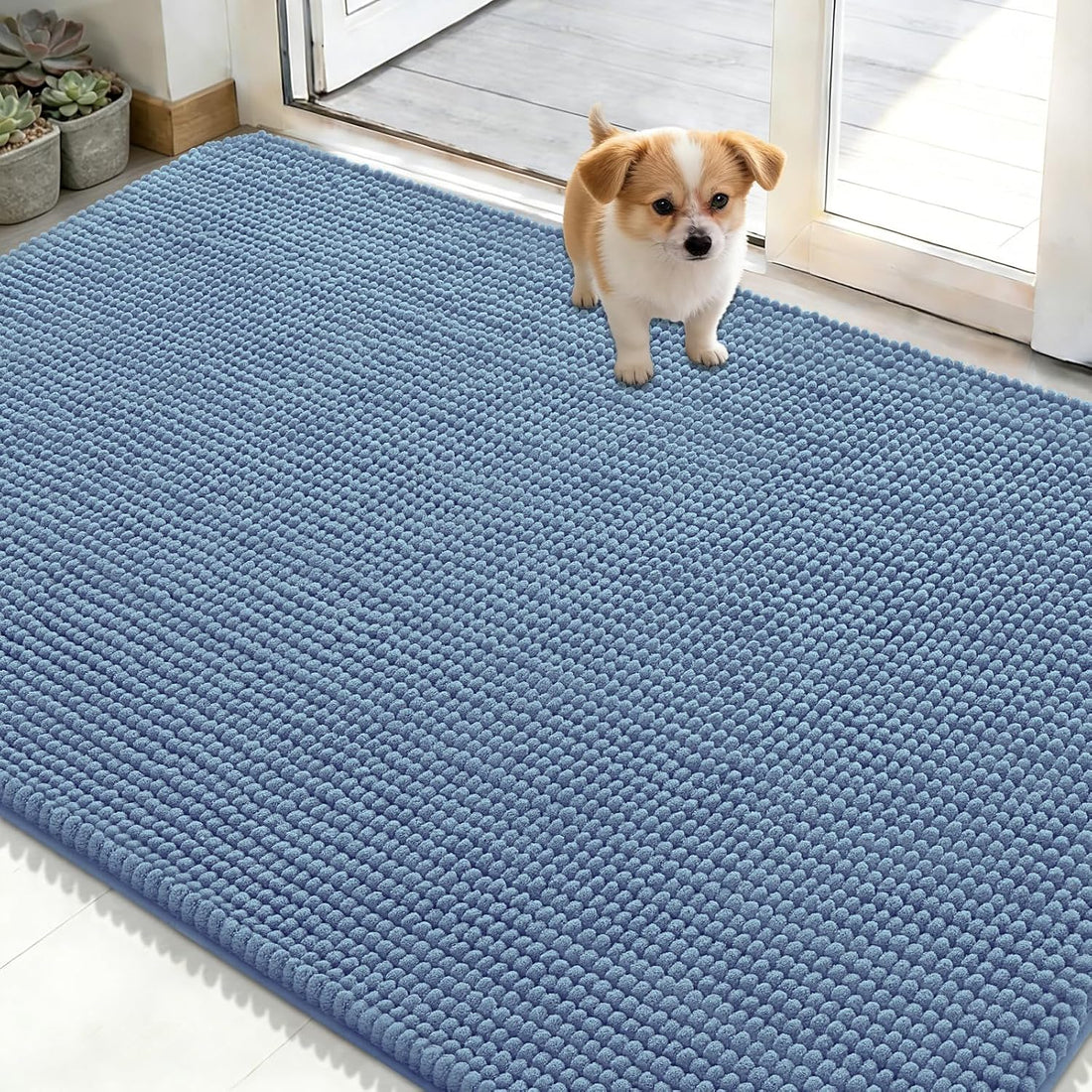 OLANLY Dog Door Mat for Muddy Paws 30x20