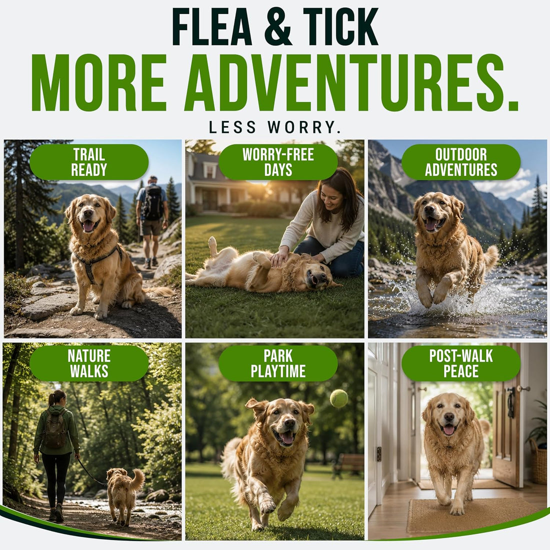 Flea and Tick Prevention for Dogs Chewables