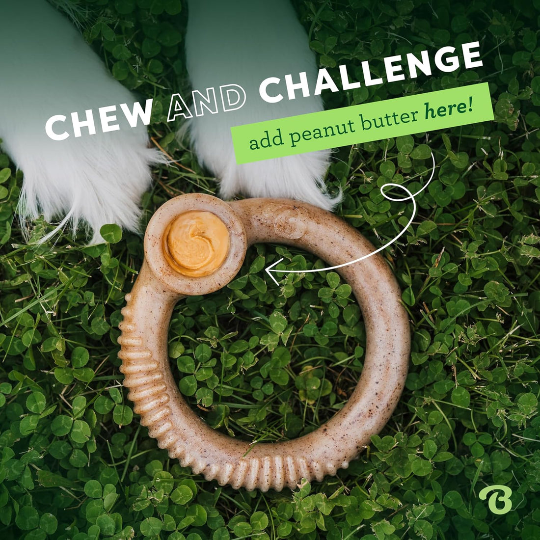 Benebone Ring Durable Dog Chew Toy for Aggressive Chewers, Real Bacon