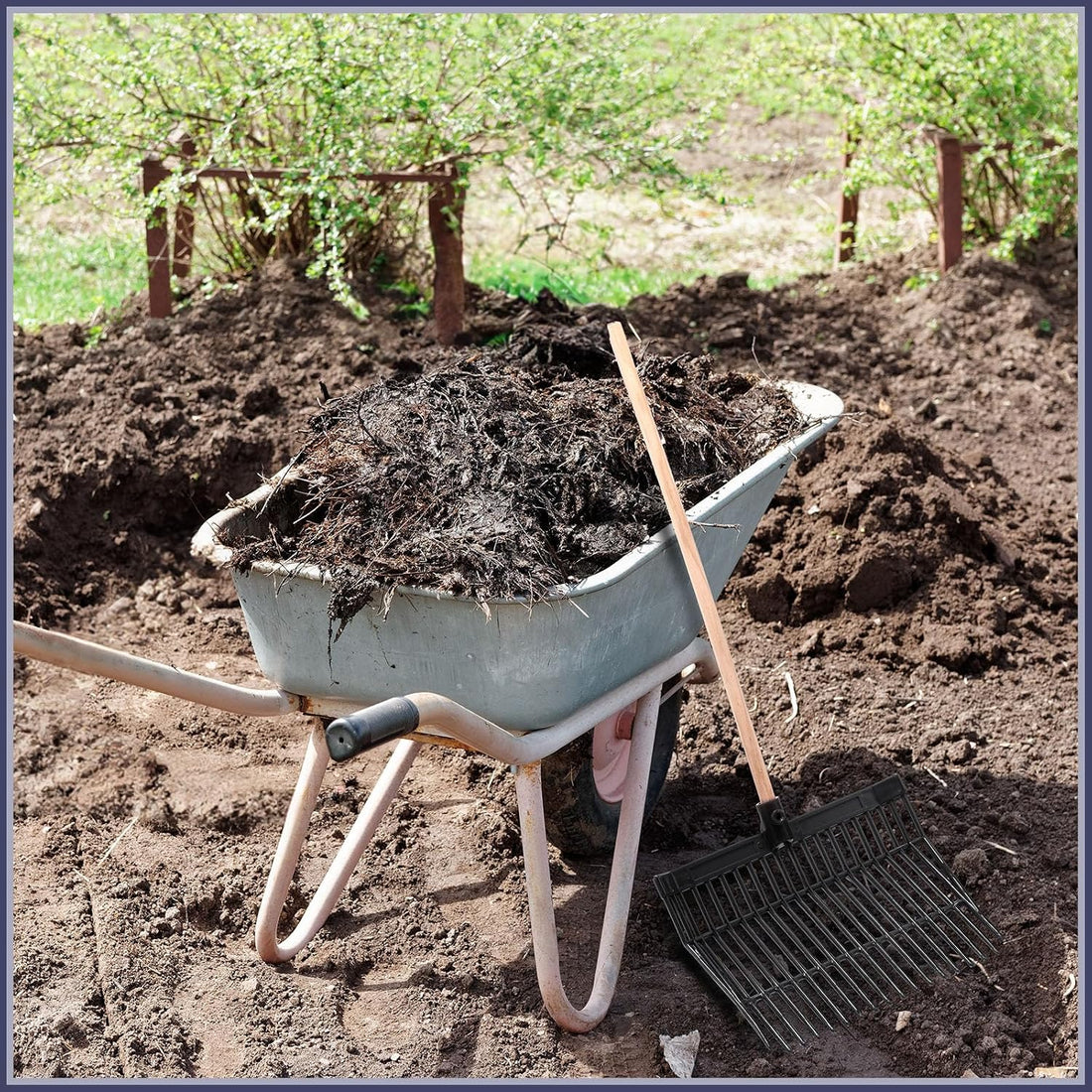 Lasnten Manure Fork Replacement Head