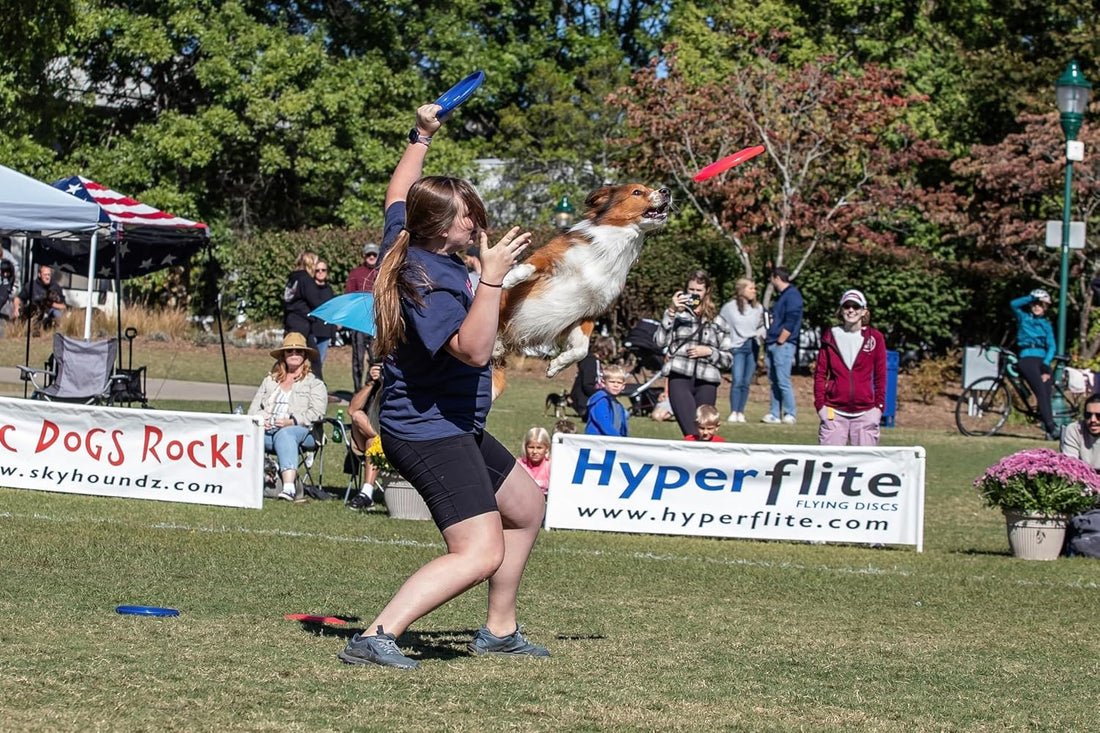 Hyperflite K-10 Jawz Puncture Resistant Dog Flying Disc, Medium-Large