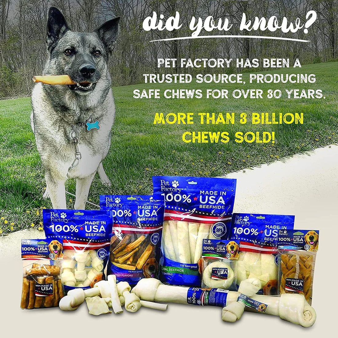 Pet Factory 100% Made in USA Beefhide 6" Knotted Bones Dog Chew Treats
