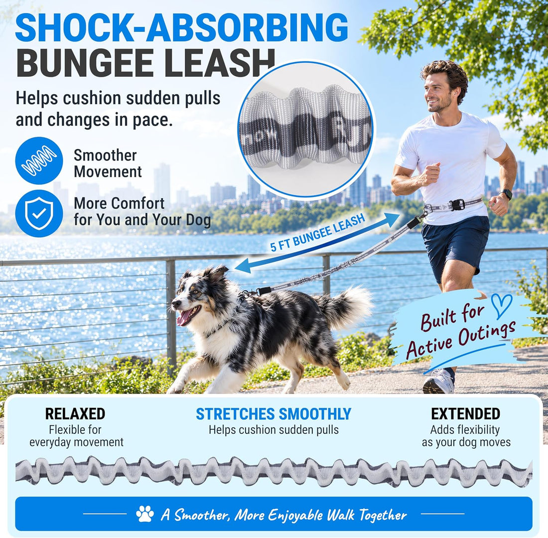 Hands Free Dog Leash,Waist Belt, Shock Absorbing Bungee, Dual Handles