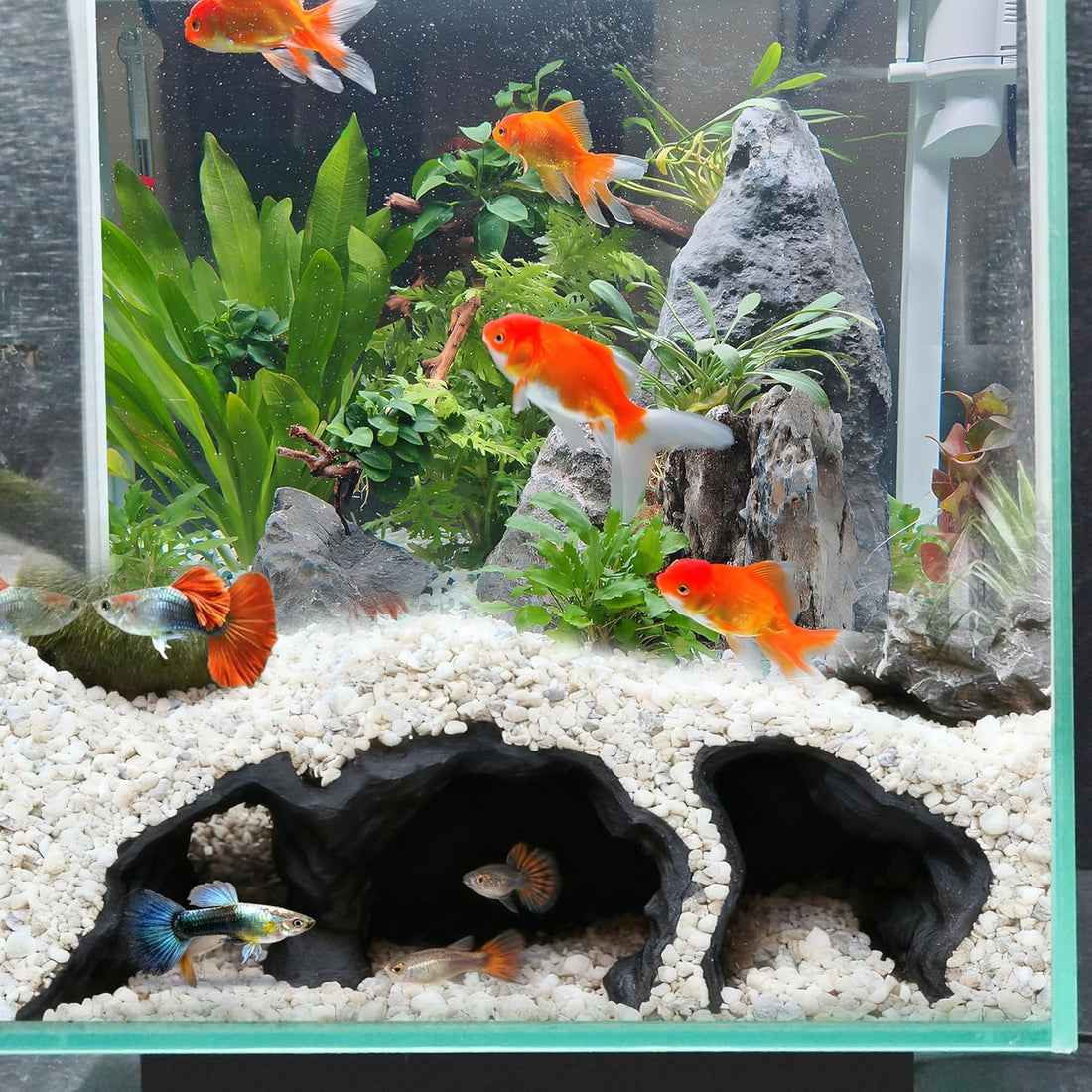 LIYAOLI Aquarium Ornaments Cave Tunnel with Viewing Ports