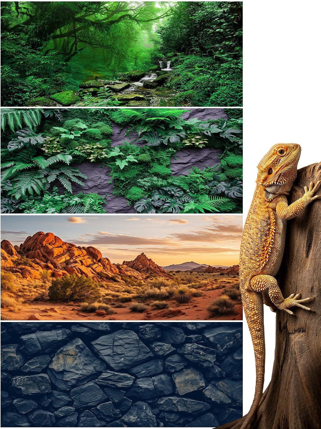 Breling 36 x 18 Inch 4 Pcs Reptile Tank Background,Habitat Scenes