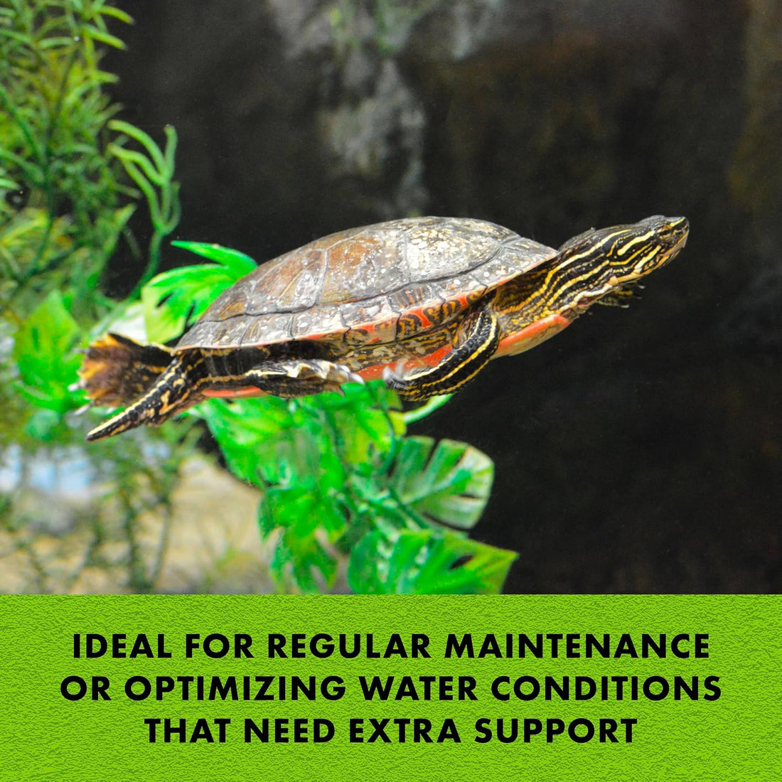 Zilla Pet Turtle Miracle Ball, Aquarium Odor and Sludge Remover