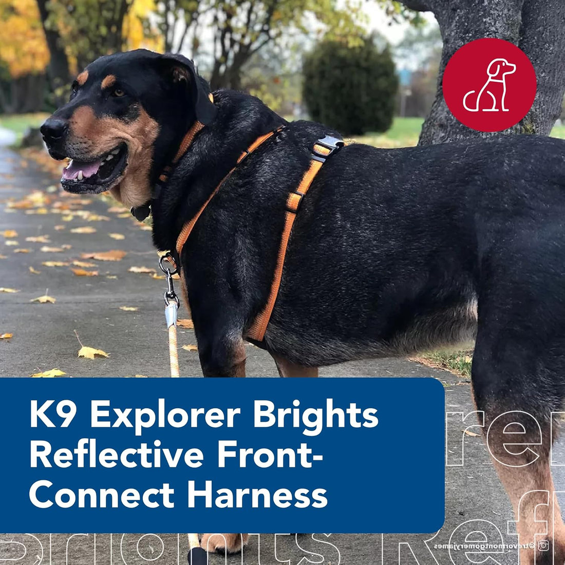 Coastal Pet K9 Explorer Brights Reflective Harness, Mountain