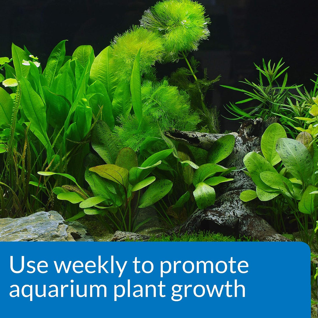 API LEAF ZONE Freshwater Aquarium Plant Fertilizer 18-Ounce Bottle