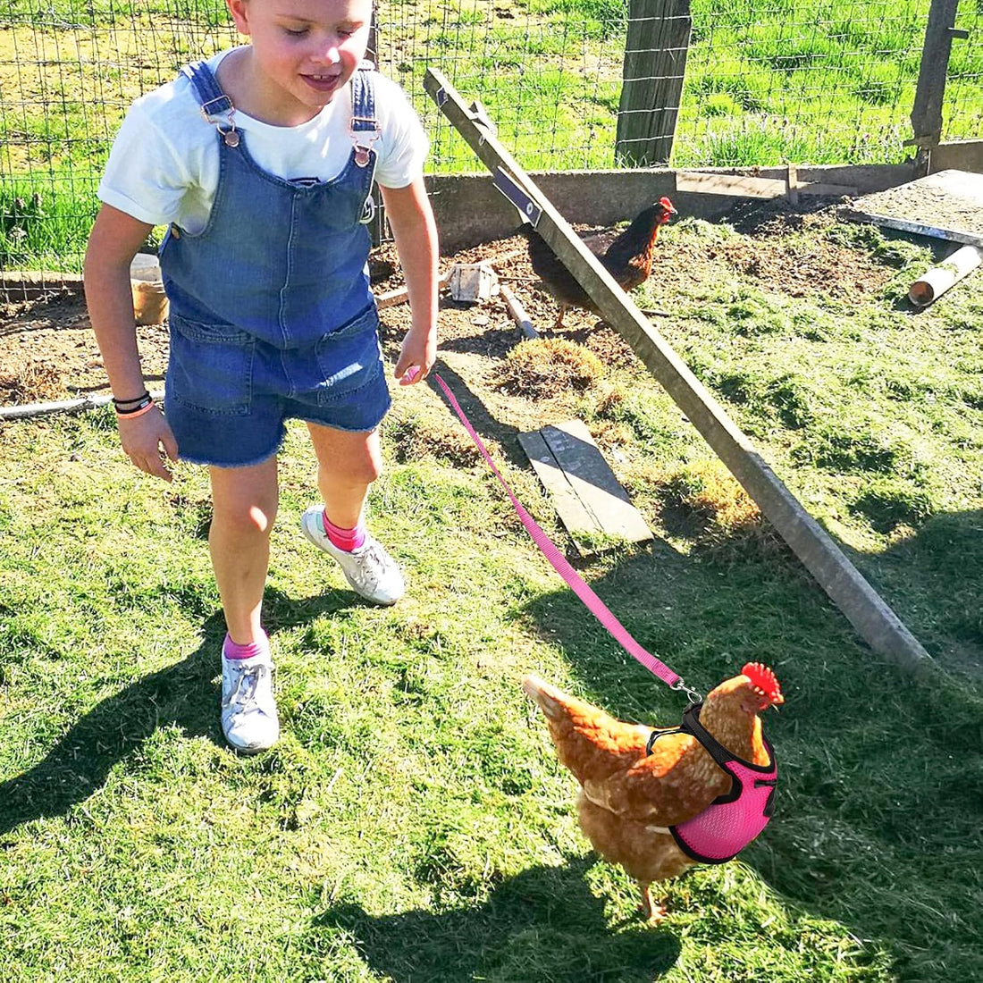 Adhafera Chicken Harness with Leash