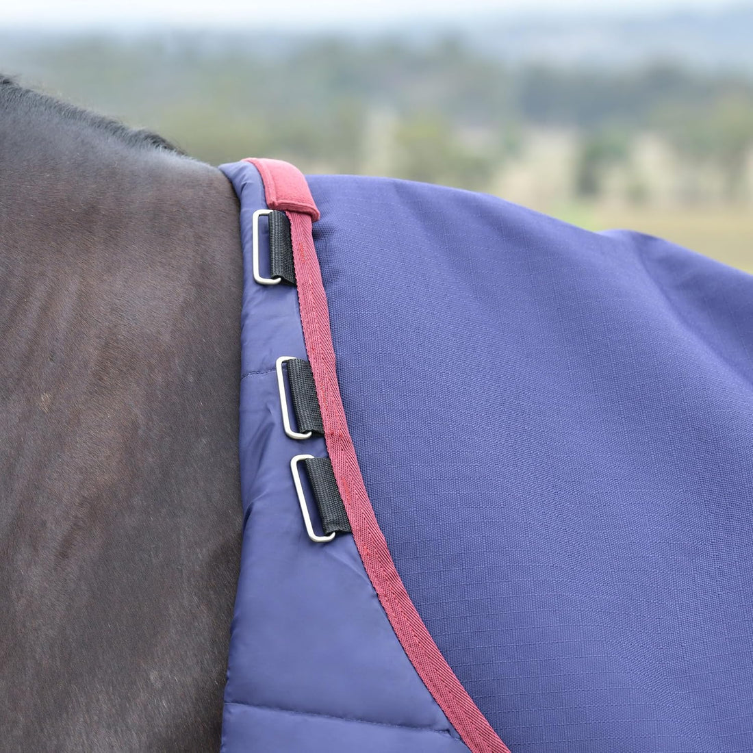 WeatherBeeta ComFiTec Essential Turnout 100g, Navy/Burgundy, 81"