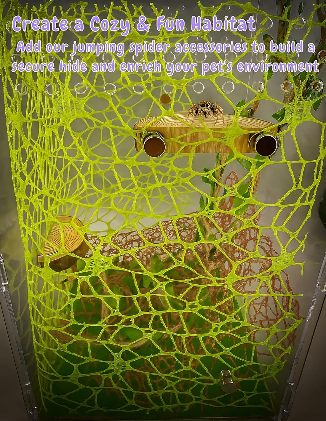 Jumping Spider Enclosure Accessories - 2 Wood Ledges & 4 Climbing Webs