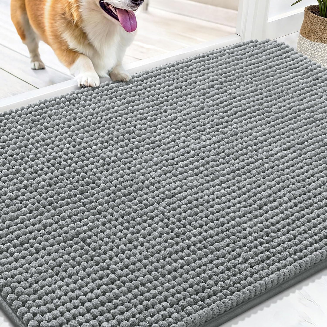 OLANLY Dog Door Mat for Muddy Paws 30x20