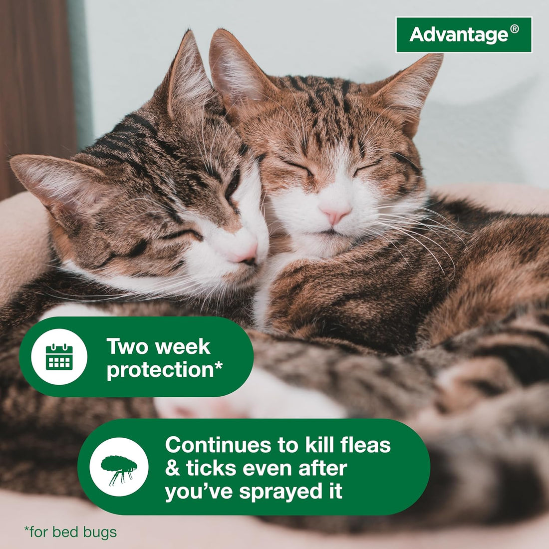 Advantage Spot & Crevice Spray, Kills Fleas & Ticks, 24 oz.